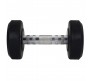 Bouncer Body King Rubber Dumbells 2.5 Kg x 1 Pair